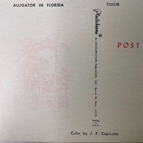 Vintage Postcard Postcard Florida Alligator Waiting for You u - Picture 4 of 5